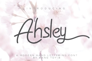 Ahsley: A Designer’s Honest Review for Real Branding