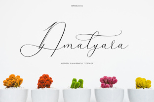 Amalyara: A Designer’s Honest Review