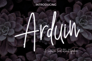 Arduin Typeface Review for Web Designers