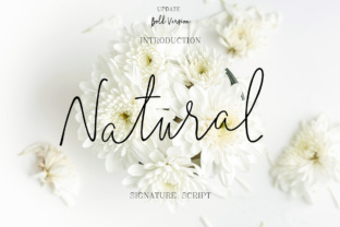 Natural Typeface: Elevating Small Business Branding
