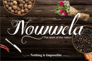 Nowwela Font: Elevate Your Brand Identity