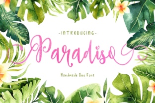Paradiso Duo: A Designer’s Honest Review