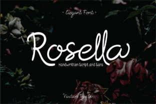 Rosella Font Review: A Balanced Typeface for Web Design