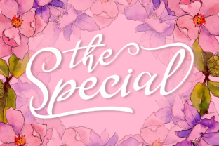 The Special Font: Elegant Script for Handmade Brands